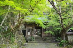 Long_Trail_Hiking_Kyushu_Nature_Trail_4-05