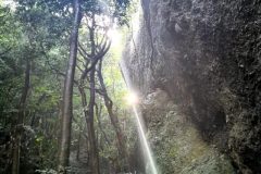 Long_Trail_Hiking_Kyushu_Nature_Trail_4-38-20231008-140915